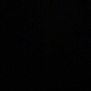 Meet your Posher, Dylan